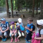 phoca_thumb_m_vp- 1.den  46 Fotogalerie